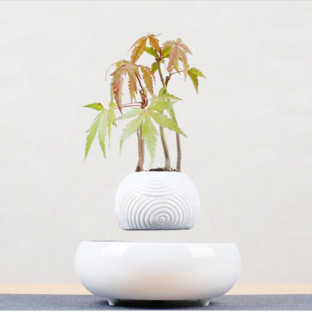 Creative Magnetic Levitation For Suspended Pendants