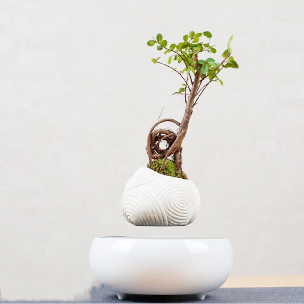 Creative Magnetic Levitation For Suspended Pendants