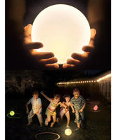 Coconut lamp foldable coconut lamp - My Store