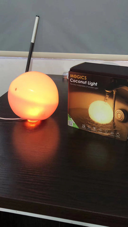 Coconut lamp foldable coconut lamp - My Store