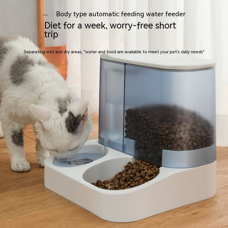 Pet Visual Automatic Pet Feeder - My Store