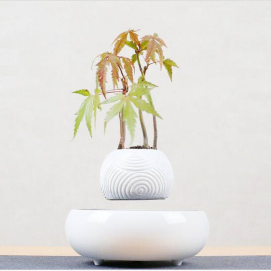 Creative Magnetic Levitation For Suspended Pendants