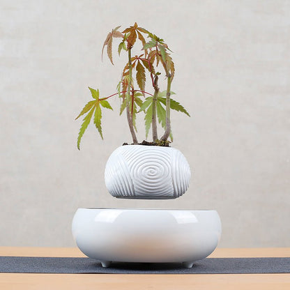 Creative Magnetic Levitation For Suspended Pendants