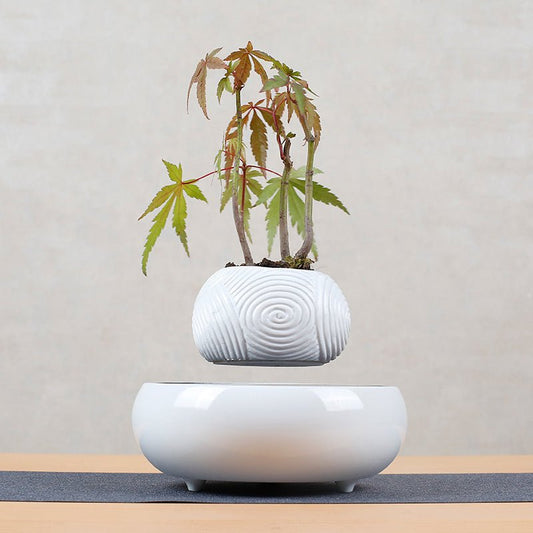 Creative Magnetic Levitation For Suspended Pendants